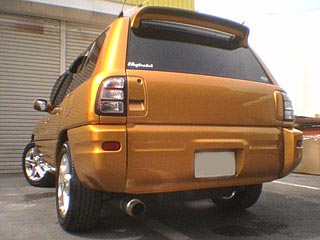 GOLDENRAV4-3